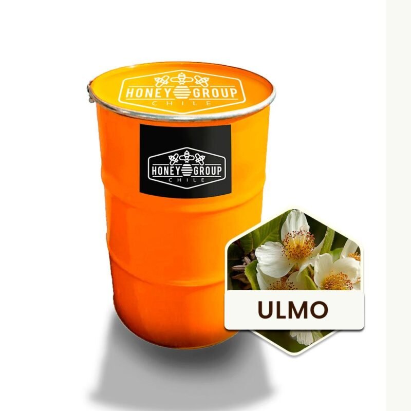 honey monofloral ulmo